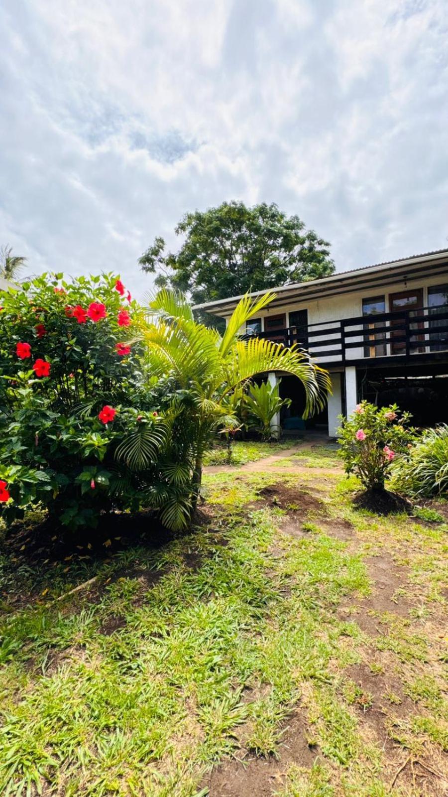 Mata Nui Eco Hostel 앙가로아 외부 사진